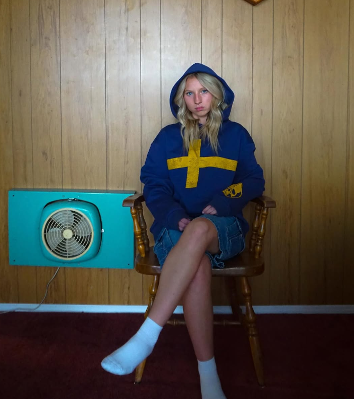 Viral Sweden Hoodie